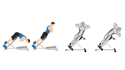 Stronger Back, Less Pain: 3 Rehab-Approved Roman Chair Exercises