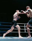 Fluid Origin Series MMA Hybrid Shorts - Black